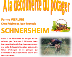 07 31 affiche decouverte du po ierling schnersheim