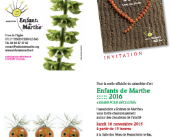 11 12 fessenheimenfmarthecalsoiree 16 11 19h