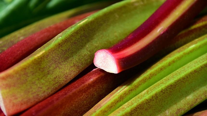 Dessert à la rhubarbe