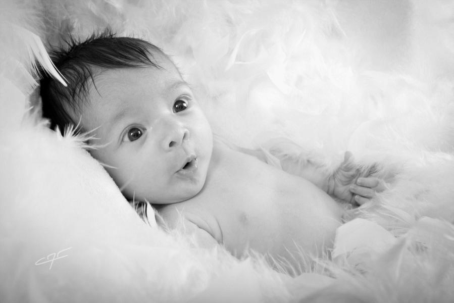 Photo naissance Catherine Theulin