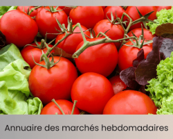 Mag annuaire des marches hebdomadaires